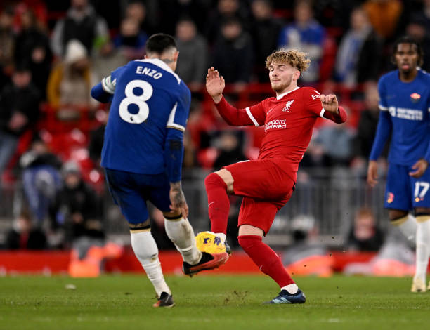 他们未来的 他们未来的